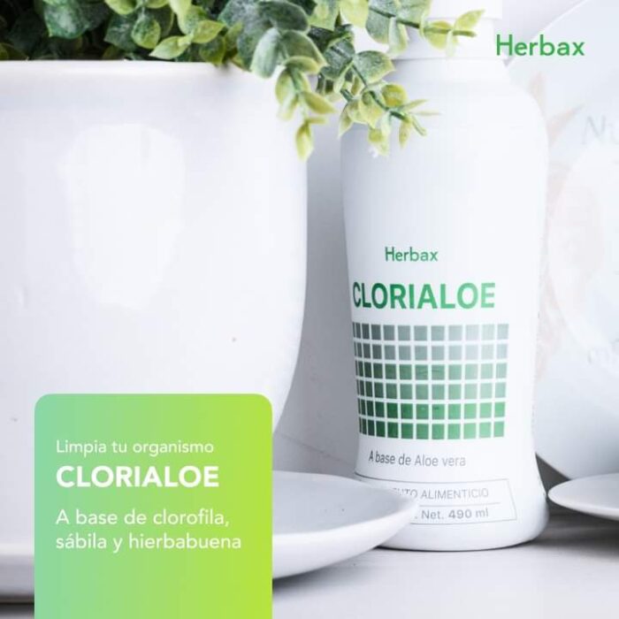 La Magia Verde: Clorofila, Sábila y Aloe Vera en la Desintoxicación y Desodorización Natural con Clorialoe Clorialoe La Magia Verde: Clorofila, Sábila y Aloe Vera en la Desintoxicación y Desodorización Natural con Clorialoe Clorialoe